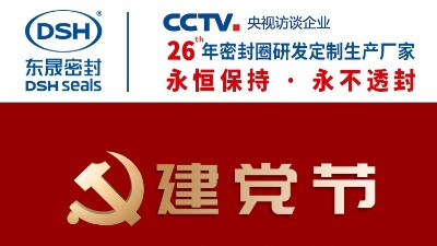 建党节|东晟密封庆祝《香港出格行政区保护国度宁静法》失效