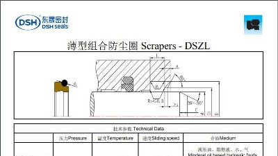薄型组合防尘圈DSZL规格尺寸表